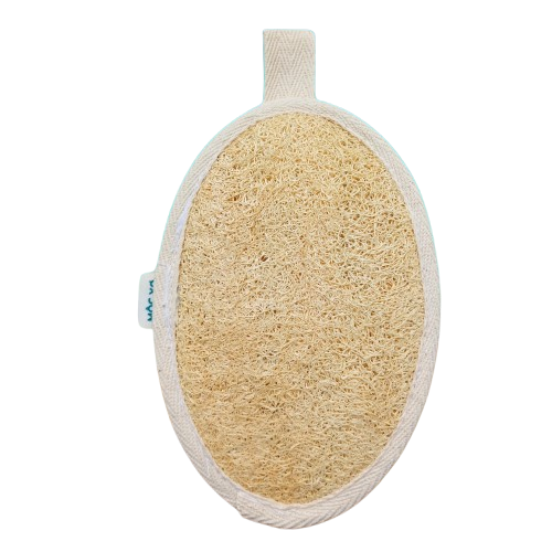 1 Photoroom removebg preview