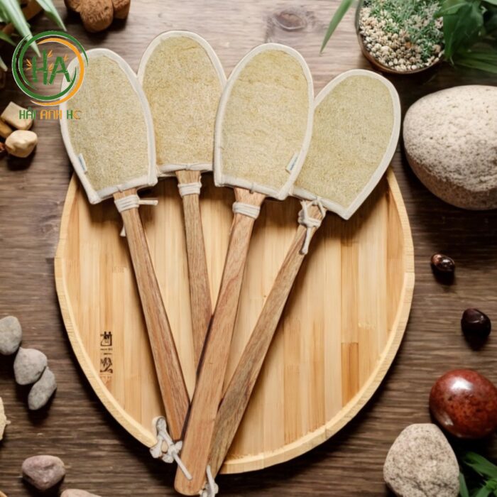 Cây Chà Lưng Xơ Mướp – Cây Kì Lưng